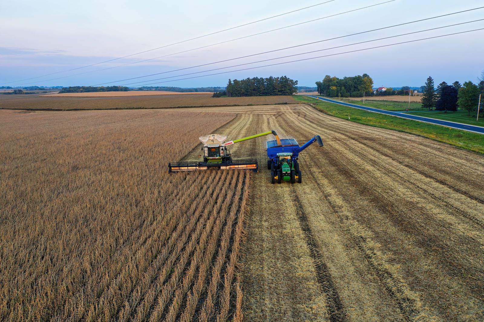 soybean harvest field