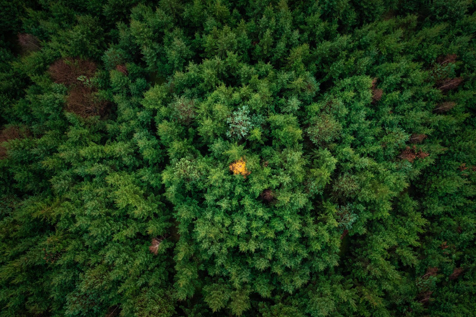 The EPA's 2022 inventory puts total U.S. greenhouse gas emissions at 6,343.2 million metric tons of CO₂ equivalent, and notes that the country's forests, cropla