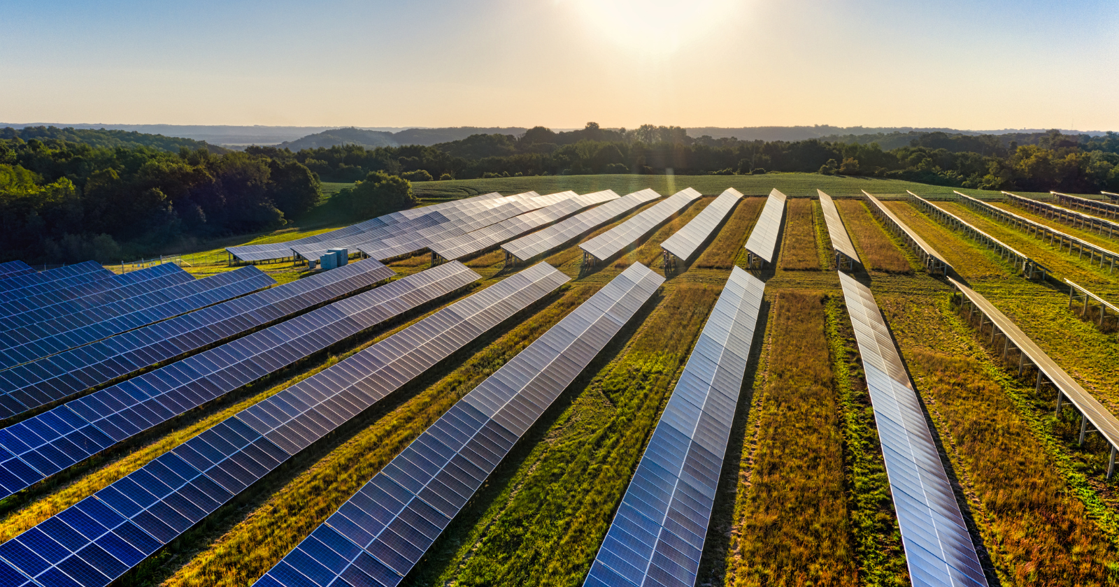 A French trial found that tilting solar panels flat over nectarine trees on nights when frost is forecast warmed the flower buds by up to 1.7 degrees Celsius, and during the frost that caused damage, flower injury fell from 35 percent to under 10 percent