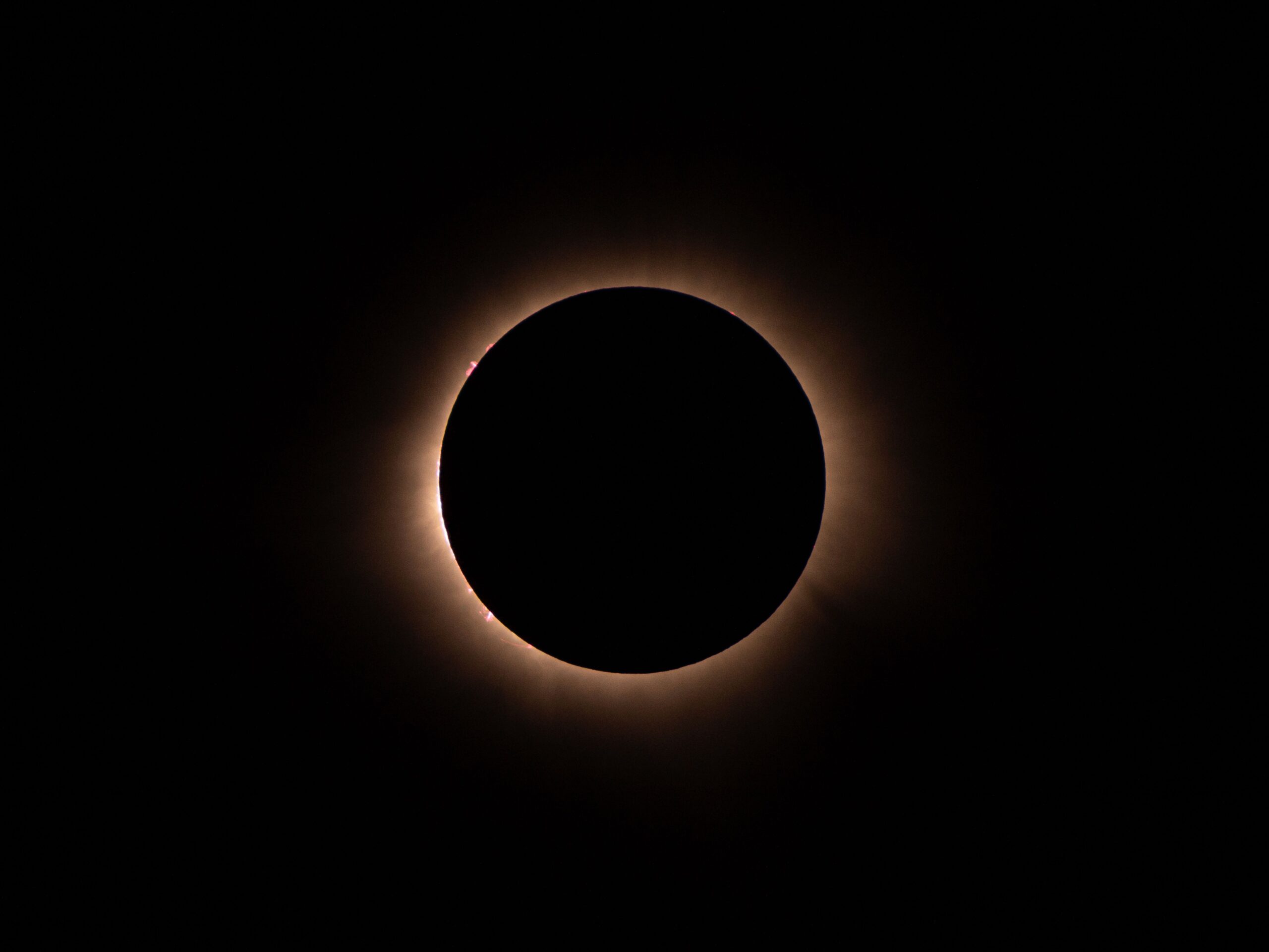 The black disk of the Moon surrounded by the Sun's corona during totality