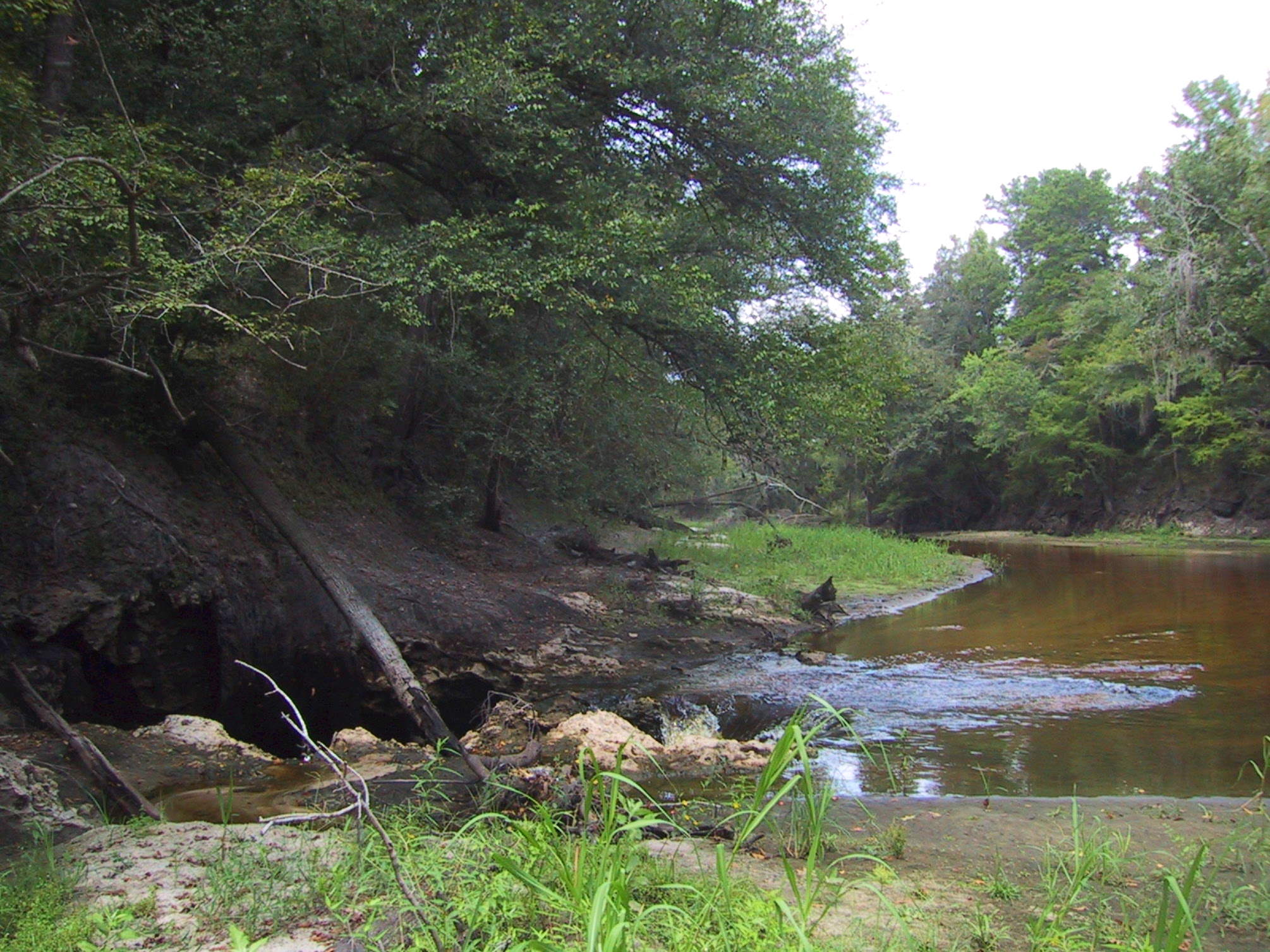Alapaha River near Jennings, Florida, flowing into a sinkhole that drains to the Floridan aquifer — USGS public domain (Aug 2002)
