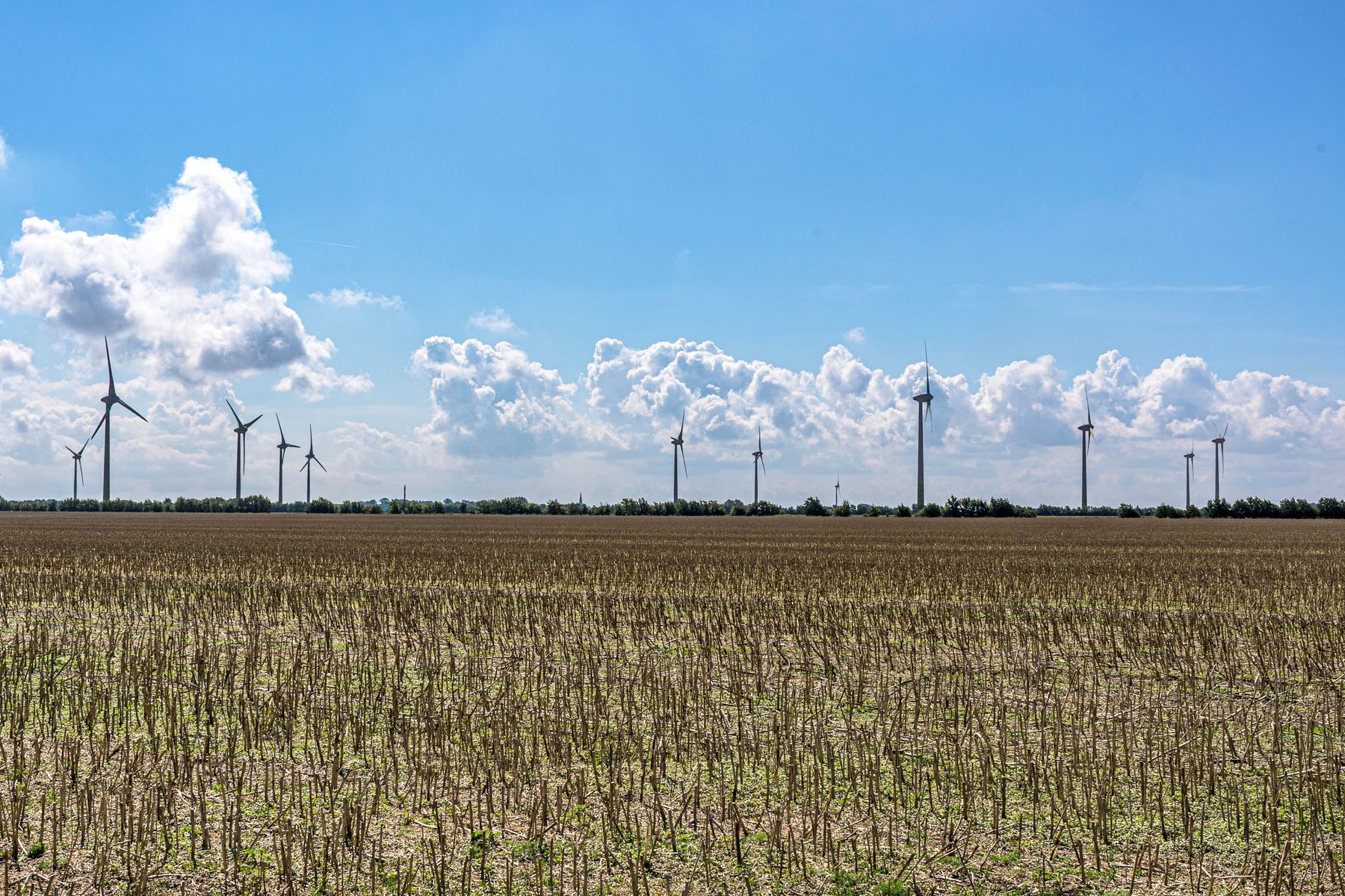 Wind turbines line the horizon beyond a harvested field under a blue sky