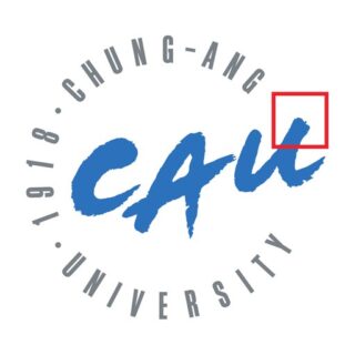 Chung-Ang University