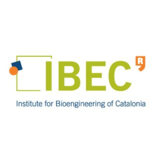 Institute for Bioengineering of Catalonia (IBEC)